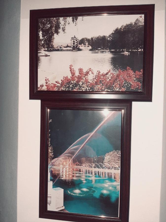 Krivokapic Daire Zlatibor Dış mekan fotoğraf